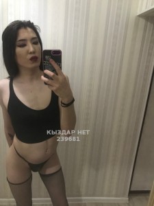 Транс Павлодара Транс№239681 J A N E L Y A на пару дней Фотография №2673073