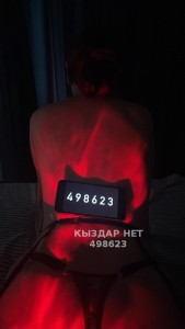 Проститутка Алматы Анкета №498623 Фотография №3762114